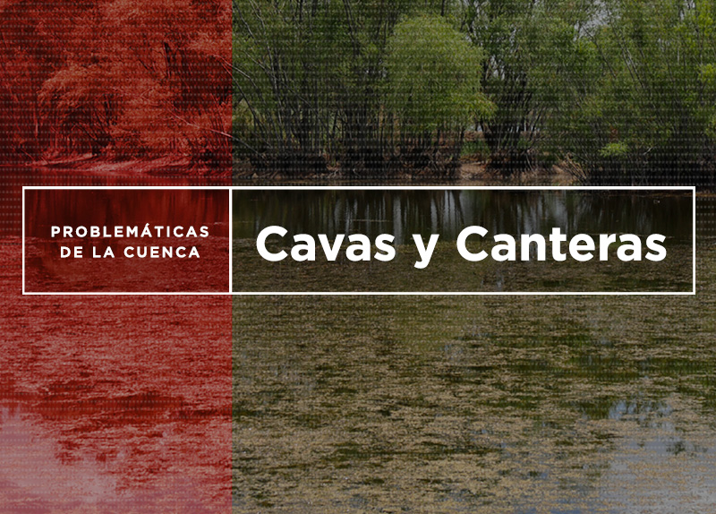 Cavas