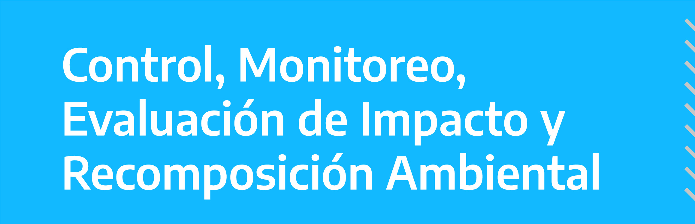 Control, Monitoreo, Evaluación de Impacto y Recomposición Ambiental