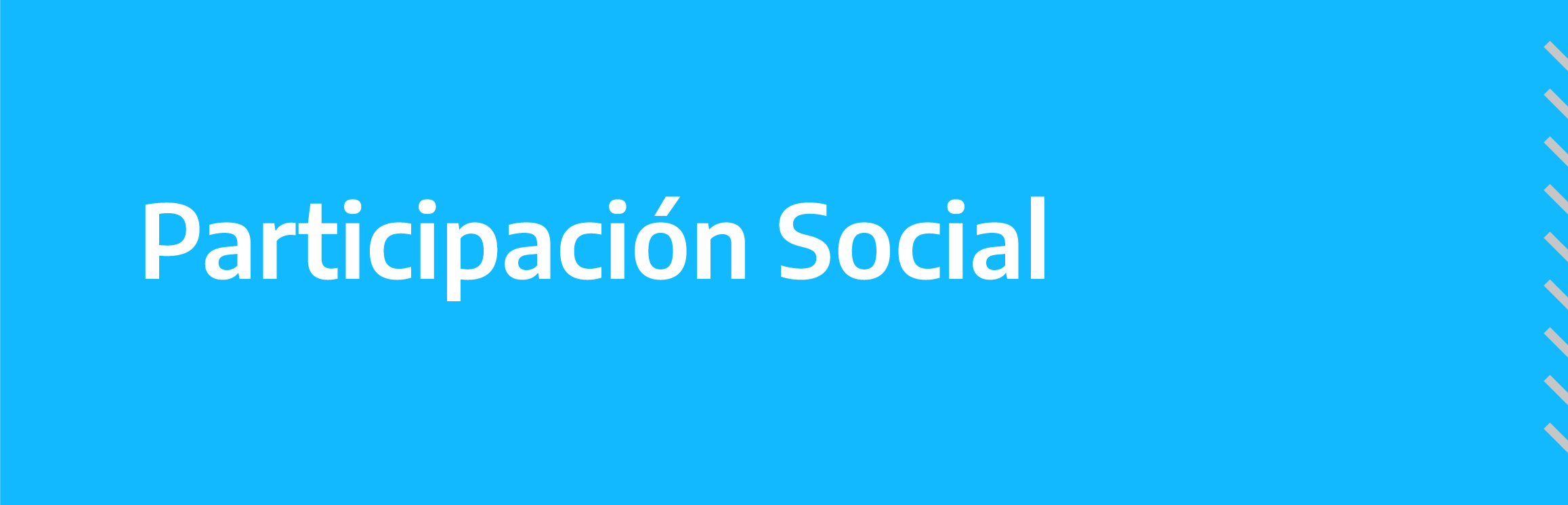 Participación Social