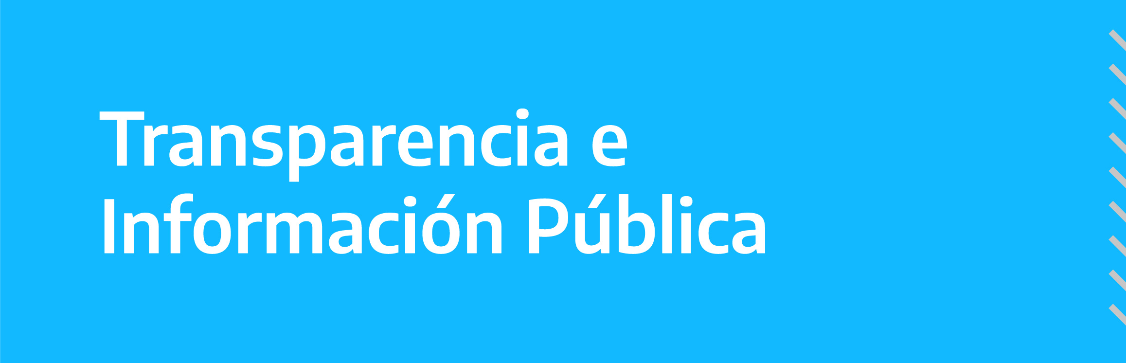 Transparencia e Información Pública