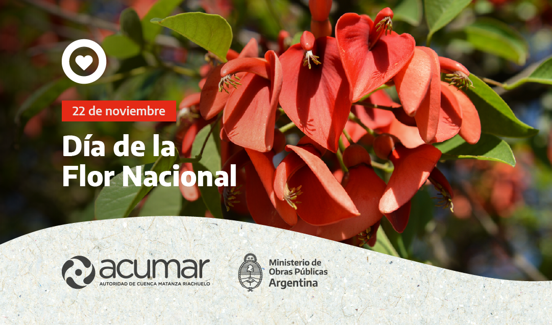 22 de noviembre: Día de la Flor Nacional - ACUMAR