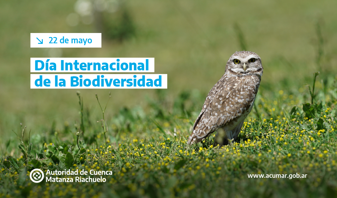 Biodiversidad