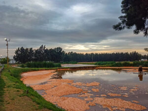 Vuelco de Cresta Roja