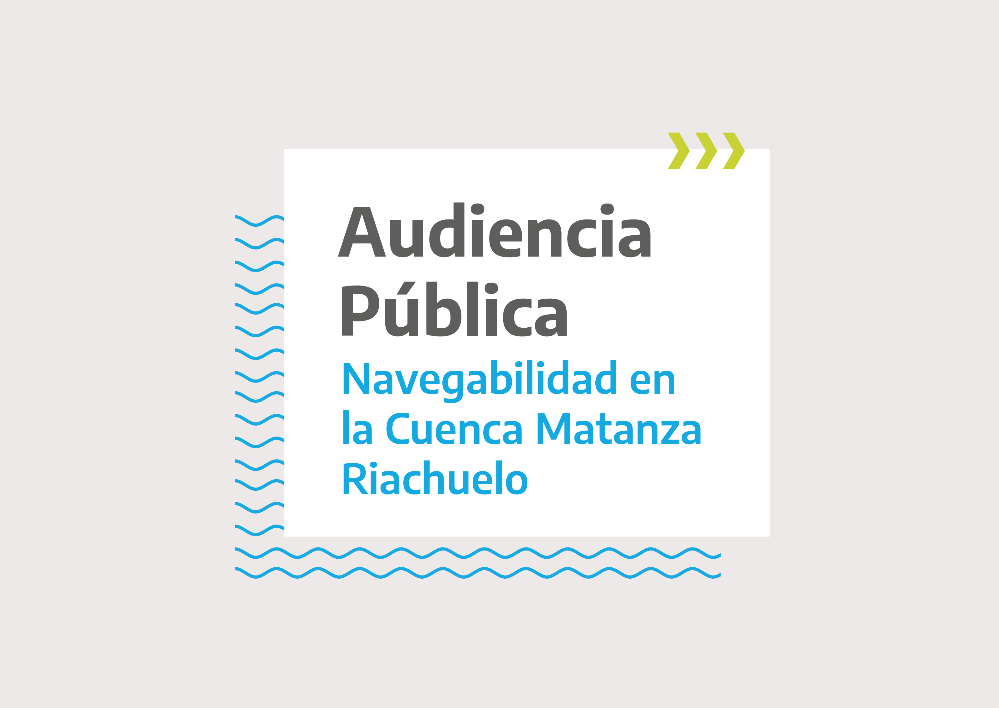 Audiencia Pública