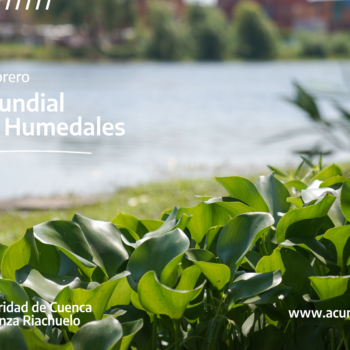 humedales