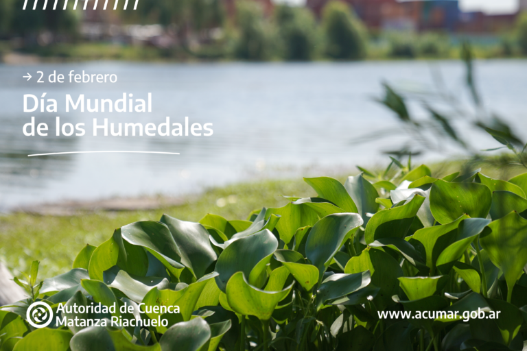 humedales