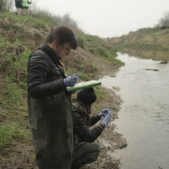 Monitoreo de bioindicadores de la Cuenca Matanza Riachuelo