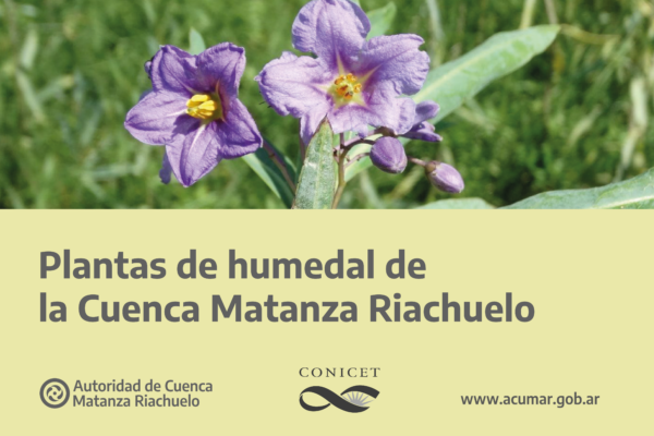 Presentamos la guía de plantas de humedales de la Cuenca